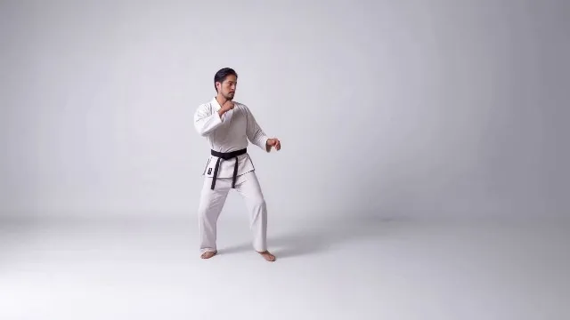 Middle Kick in Karate