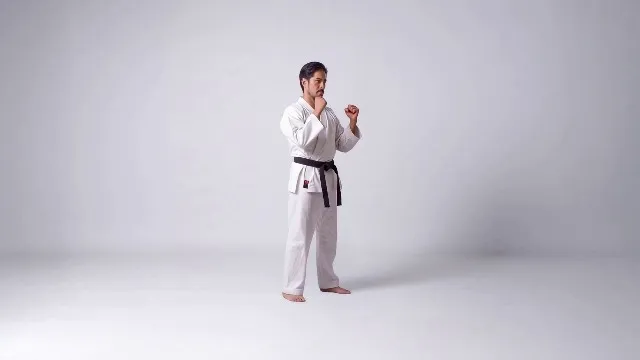 Front Kick - Both Sides in Karate