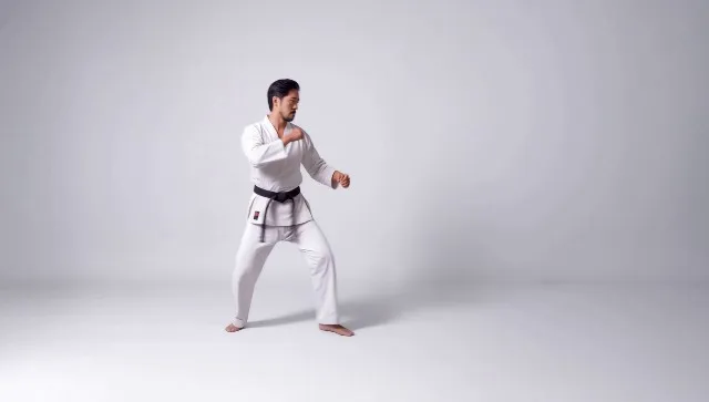 Back Kick - Both Sides in Karate