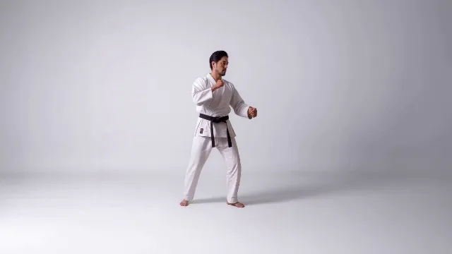 Push Kick - Both Sides in Karate