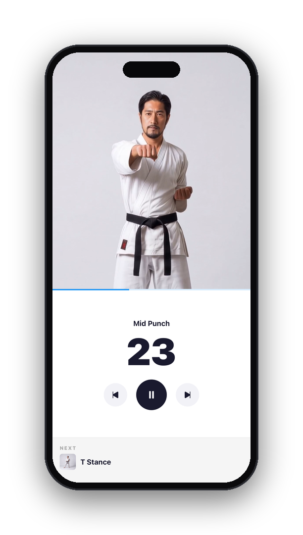 Karate punch exercise in the app